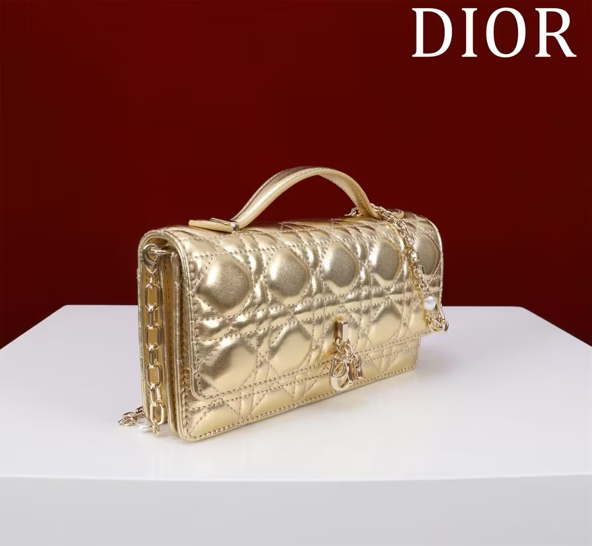 my D*or mini bag 21 x 11.5 x 4.5 cm