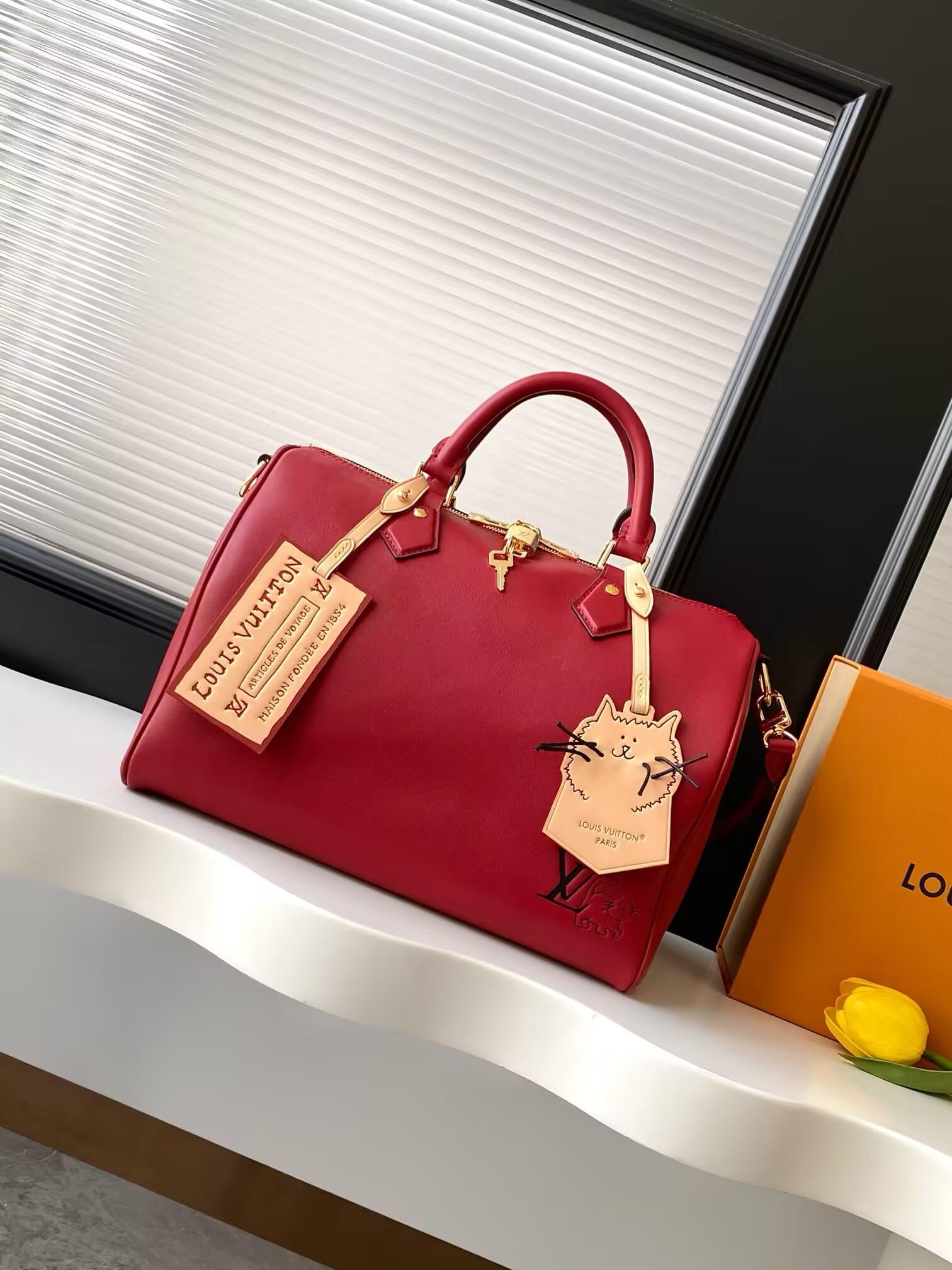 LV Speedy Soft 30 M25766 21x17x30cm