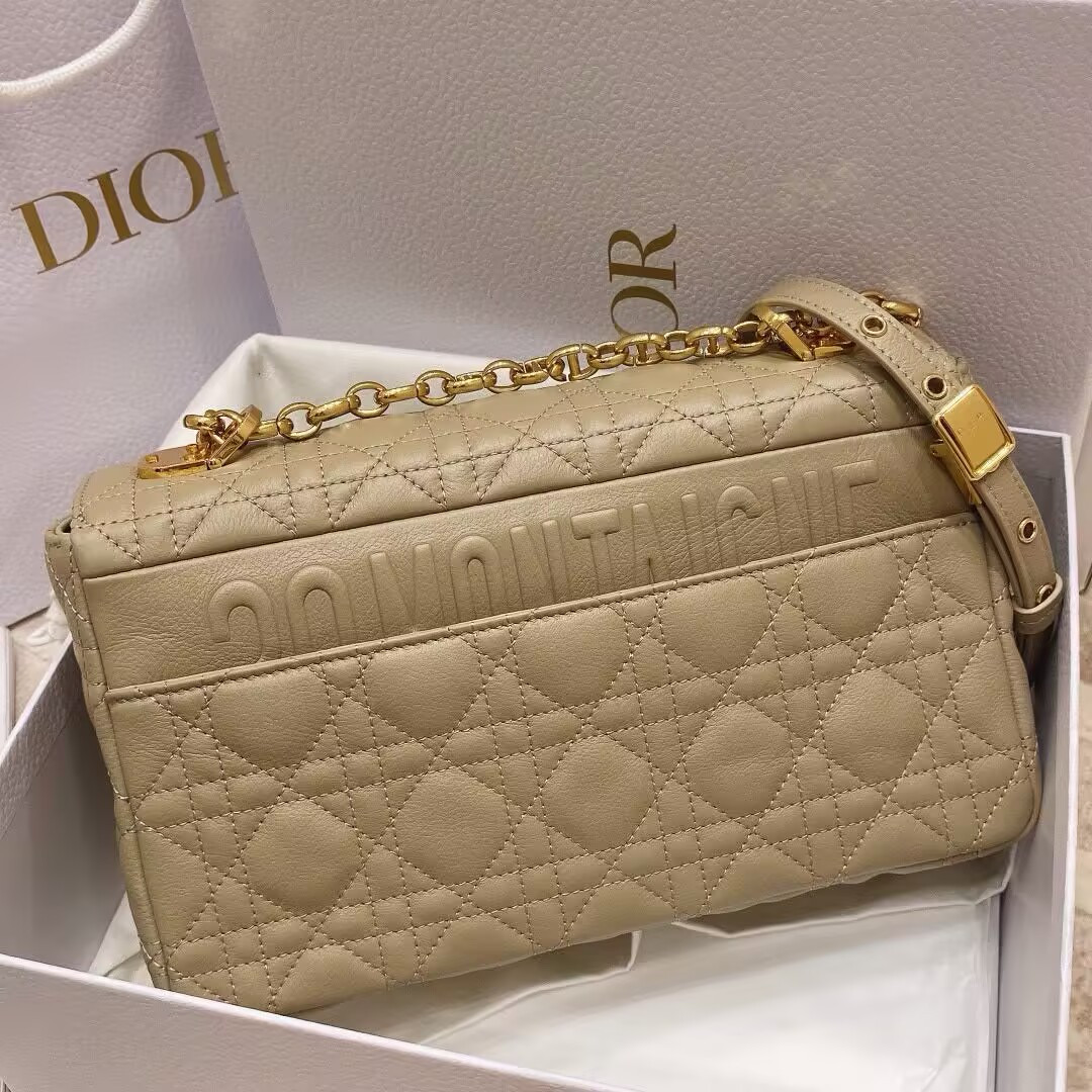 D*or medium D*or caro bag 25.5x15.5x9cm