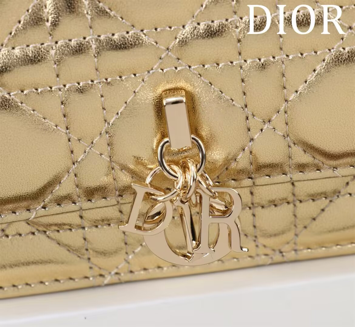 my D*or mini bag 21 x 11.5 x 4.5 cm