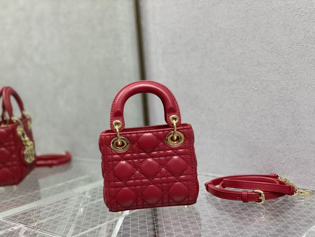 D*or micro lady bag 12x10x5cm