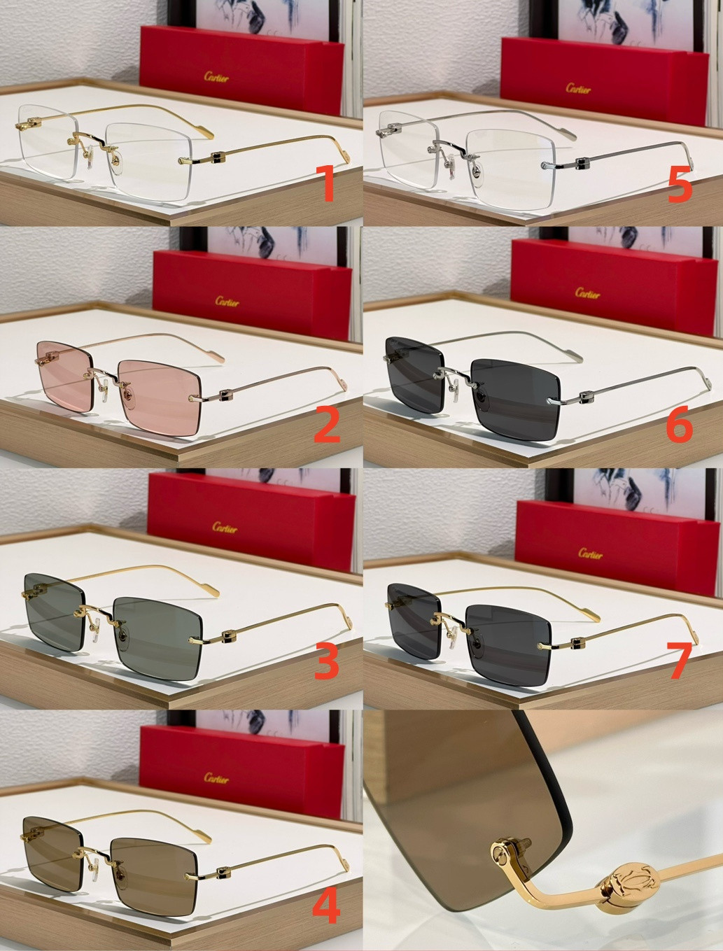 Ca*t*er glasses ct0367s 54-20-140