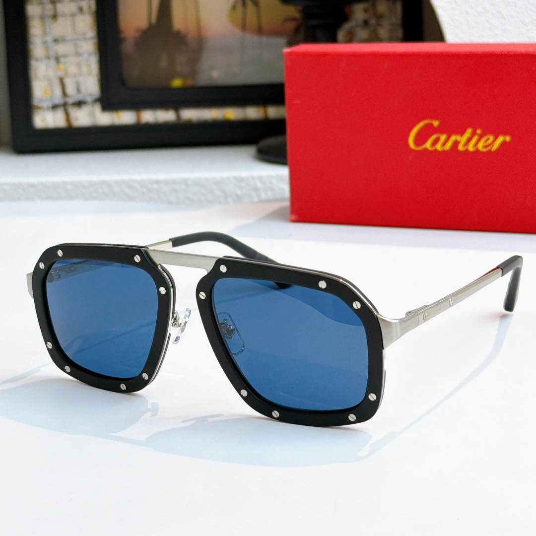 Ca*t*er glasses ct0573s 55-20-145